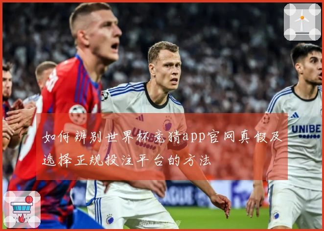 如何辨别世界杯竞猜app官网真假及选择正规投注平台的方法