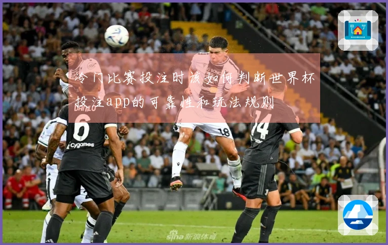 冷门比赛投注时该如何判断世界杯投注app的可靠性和玩法规则
