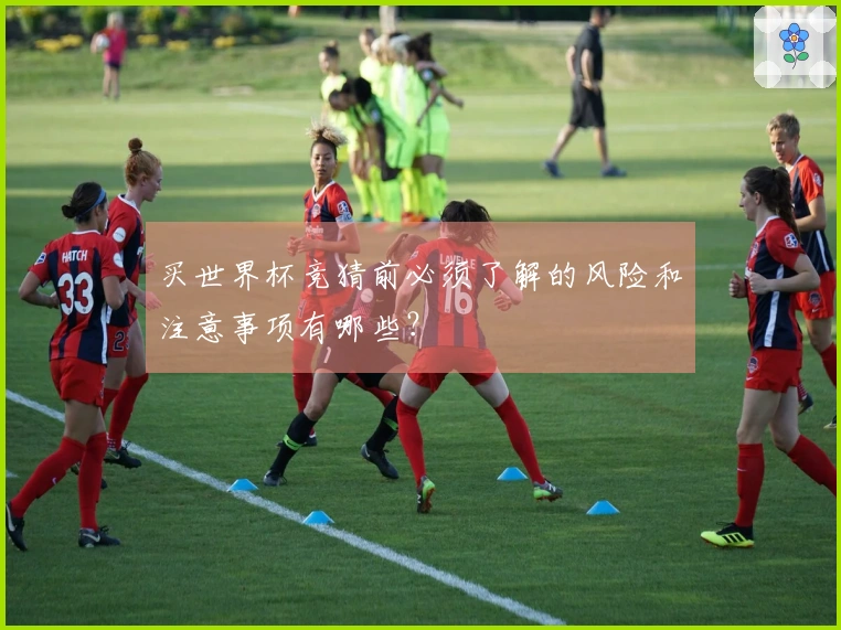 买世界杯竞猜前必须了解的风险和注意事项有哪些？