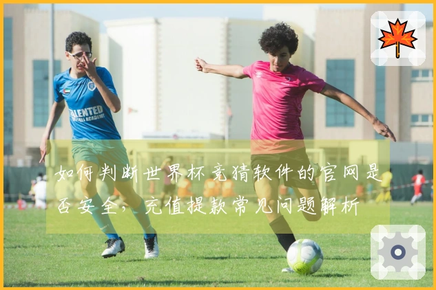 如何判断世界杯竞猜软件的官网是否安全，充值提款常见问题解析