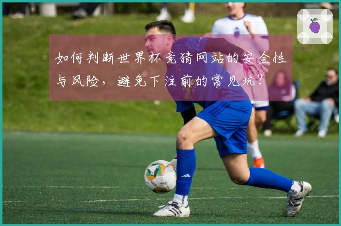 如何判断世界杯竞猜网站的安全性与风险，避免下注前的常见坑？