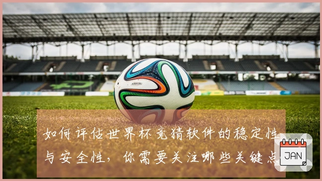 如何评估世界杯竞猜软件的稳定性与安全性，你需要关注哪些关键点？