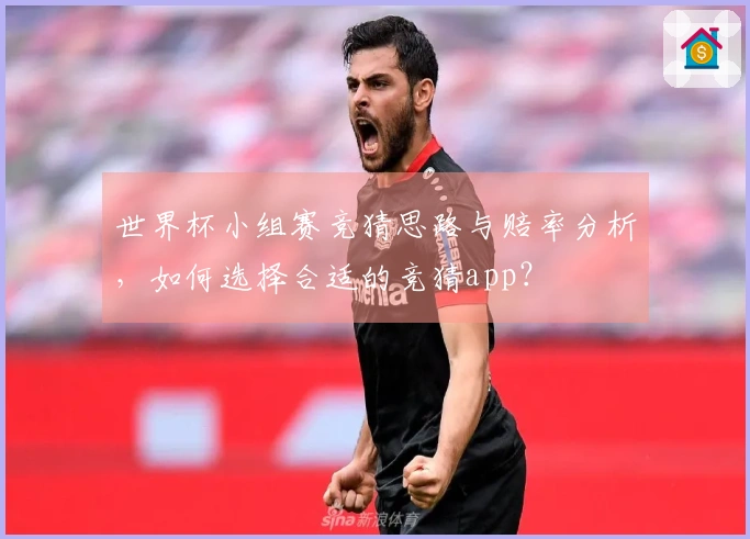 世界杯小组赛竞猜思路与赔率分析，如何选择合适的竞猜app？