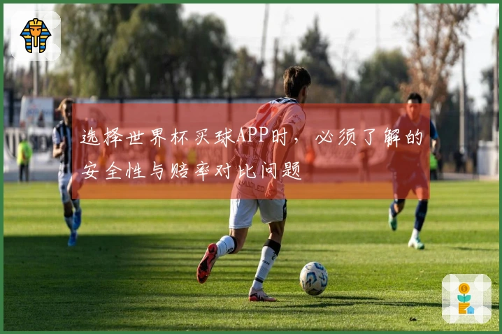 选择世界杯买球APP时，必须了解的安全性与赔率对比问题
