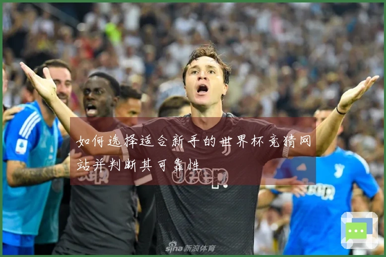 如何选择适合新手的世界杯竞猜网站并判断其可靠性