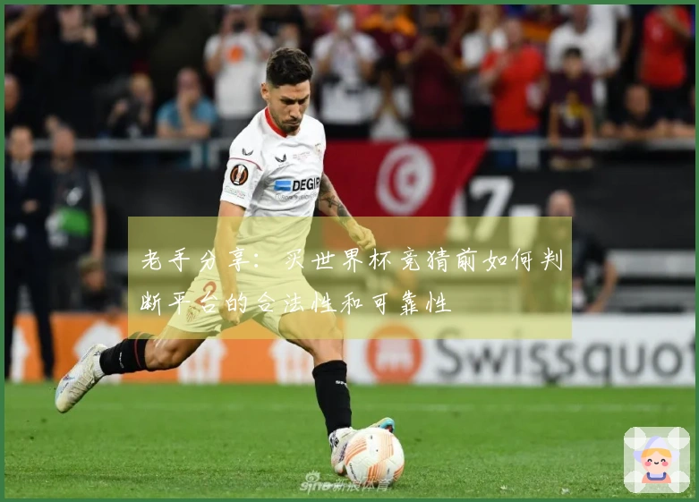 老手分享：买世界杯竞猜前如何判断平台的合法性和可靠性