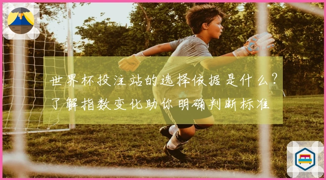 世界杯投注站的选择依据是什么？了解指数变化助你明确判断标准