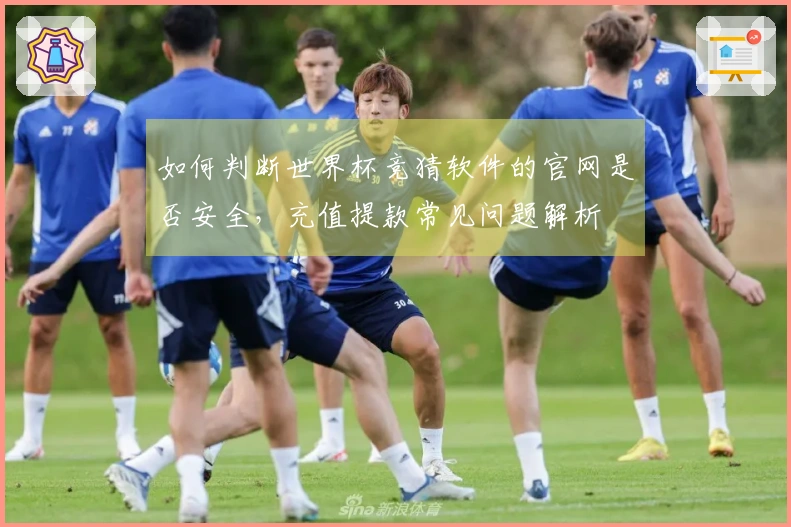 如何判断世界杯竞猜软件的官网是否安全，充值提款常见问题解析