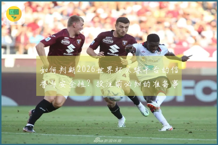 如何判断2026世界杯买球平台的信誉与安全性？投注前必知的准备事项