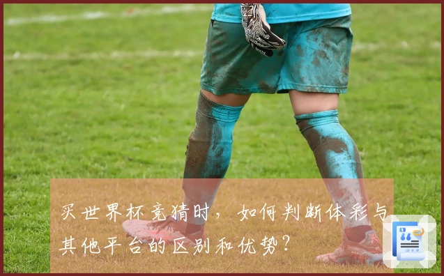 买世界杯竞猜时，如何判断体彩与其他平台的区别和优势？