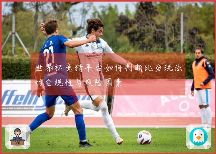 世界杯竞猜平台如何判断比分玩法的合规性与风险因素