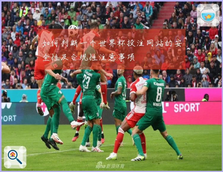 如何判断一个世界杯投注网站的安全性及合规性注意事项