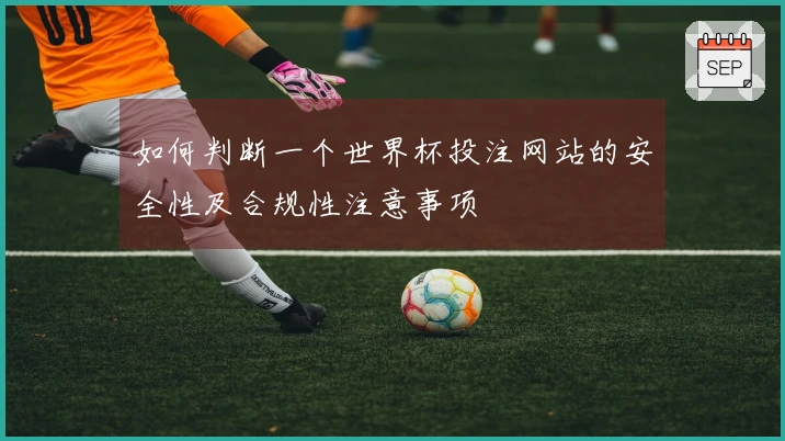 如何判断一个世界杯投注网站的安全性及合规性注意事项
