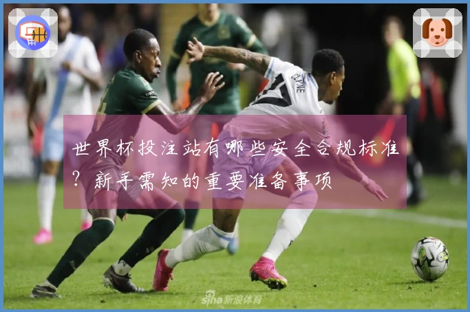 世界杯投注站有哪些安全合规标准？新手需知的重要准备事项