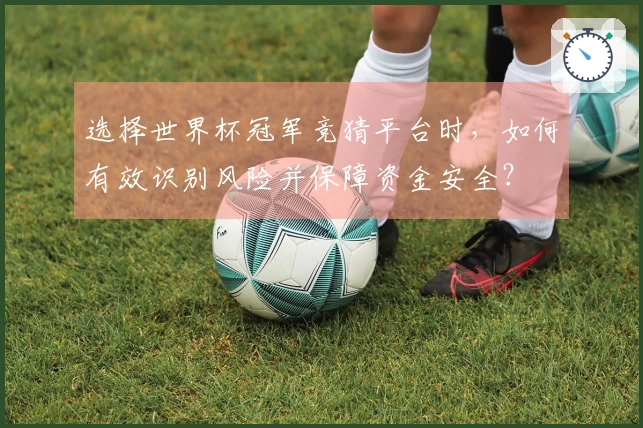 选择世界杯冠军竞猜平台时，如何有效识别风险并保障资金安全？