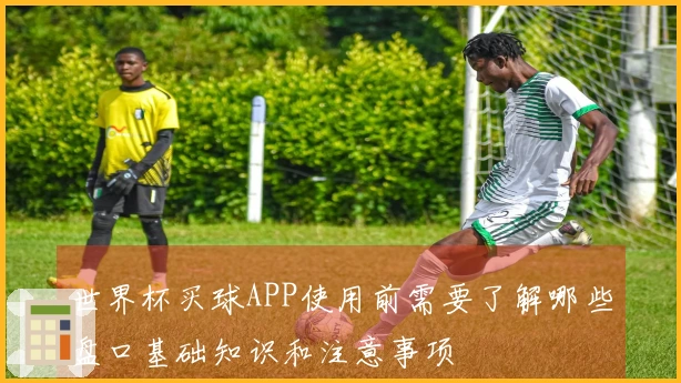 世界杯买球APP使用前需要了解哪些盘口基础知识和注意事项