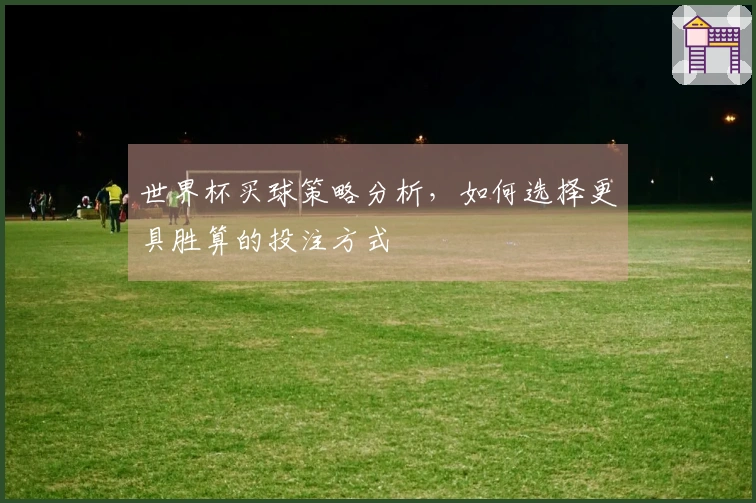 世界杯买球策略分析，如何选择更具胜算的投注方式