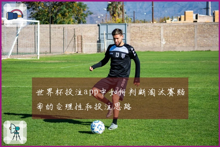 世界杯投注app中如何判断淘汰赛赔率的合理性和投注思路