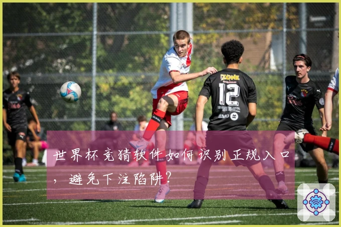世界杯竞猜软件如何识别正规入口，避免下注陷阱？