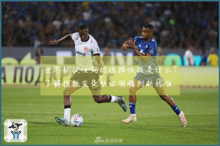 世界杯投注站的选择依据是什么？了解指数变化助你明确判断标准