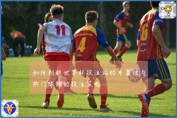 如何判断世界杯投注站的可靠性与热门球队的投注策略
