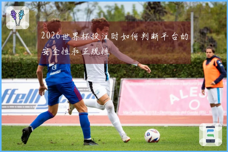 2026世界杯投注时如何判断平台的安全性和正规性