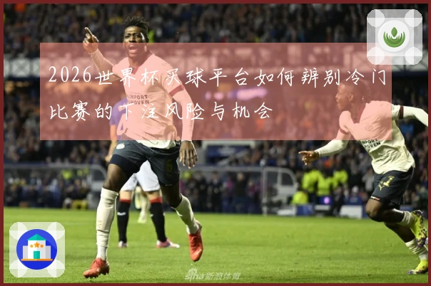 2026世界杯买球平台如何辨别冷门比赛的下注风险与机会