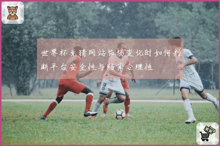 世界杯竞猜网站临场变化时如何判断平台安全性与赔率合理性