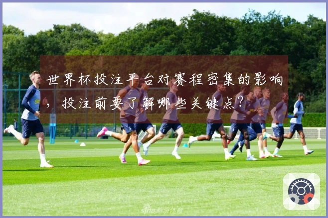 世界杯投注平台对赛程密集的影响，投注前要了解哪些关键点？