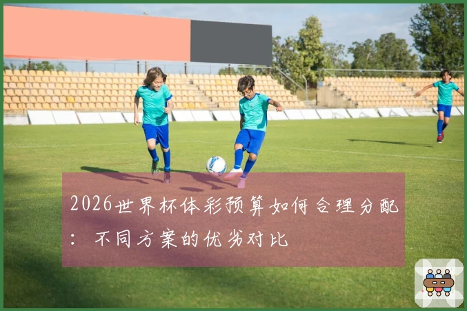 2026世界杯体彩预算如何合理分配：不同方案的优劣对比