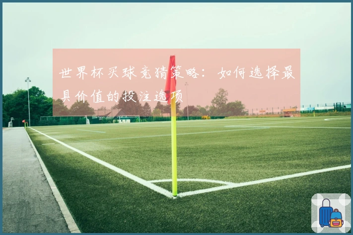 世界杯买球竞猜策略：如何选择最具价值的投注选项