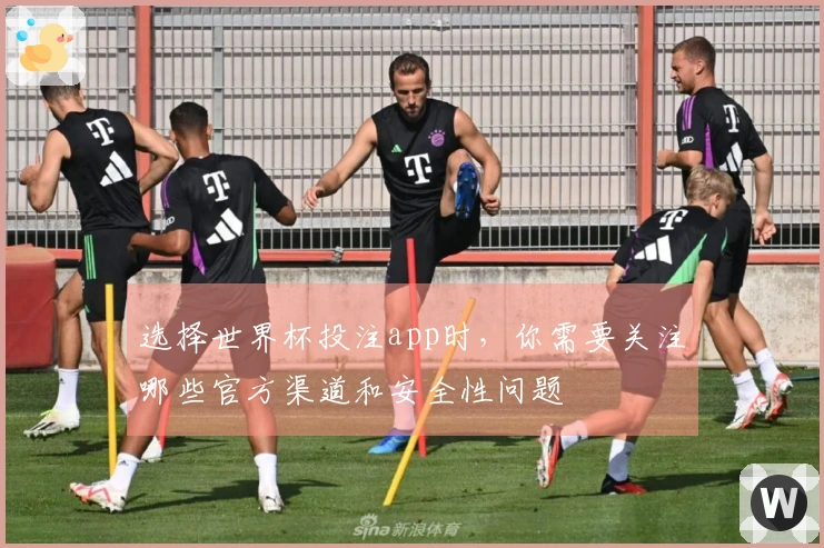 选择世界杯投注app时，你需要关注哪些官方渠道和安全性问题