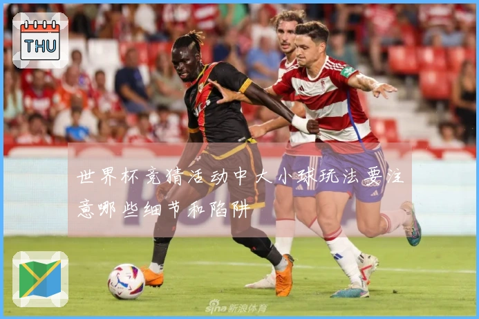 世界杯竞猜活动中大小球玩法要注意哪些细节和陷阱
