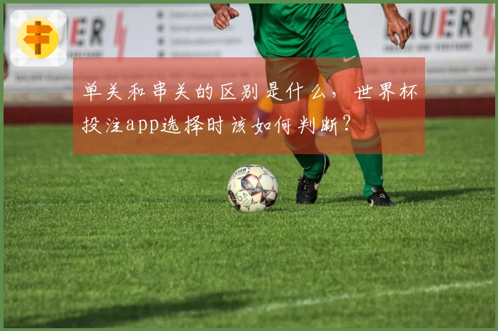 单关和串关的区别是什么，世界杯投注app选择时该如何判断？