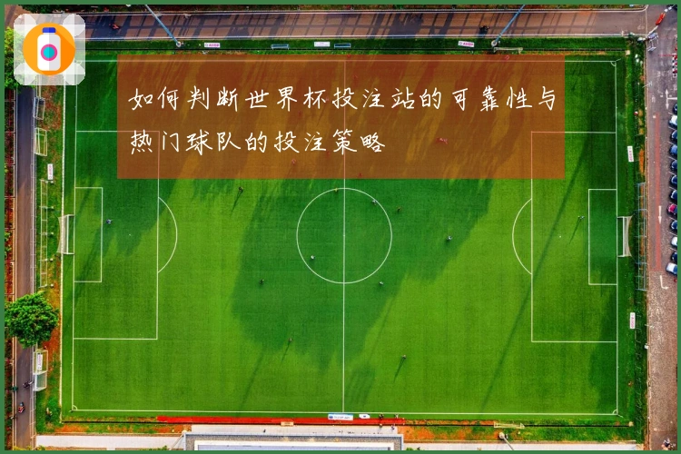 如何判断世界杯投注站的可靠性与热门球队的投注策略
