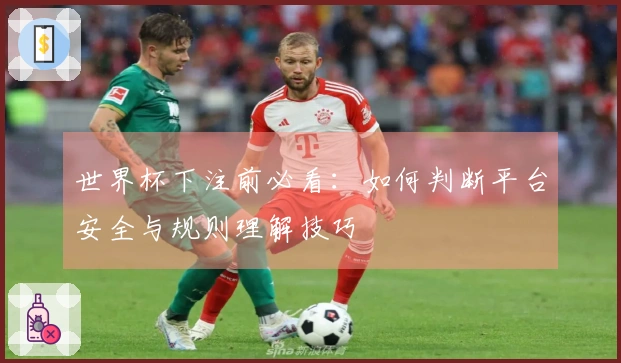 世界杯下注前必看：如何判断平台安全与规则理解技巧