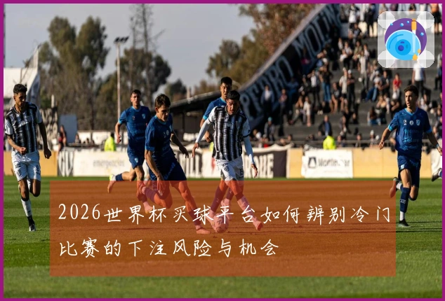 2026世界杯买球平台如何辨别冷门比赛的下注风险与机会