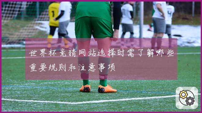 世界杯竞猜网站选择时需了解哪些重要规则和注意事项
